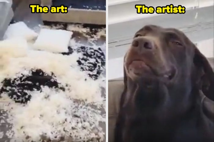 Left: Torn cushion with stuffing everywhere. Right: Dog sitting with a guilty expression. Text reads "The art: The artist:"