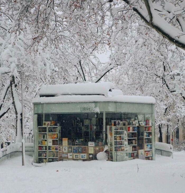 Quiosque de biblioteca aconchegante coberto de neve, cercado por árvores geladas, exibindo livros em um cenário mágico de inverno. Quiosque de biblioteca aconchegante coberto de neve, cercado por árvores geladas, exibindo livros em um cenário mágico de inverno.