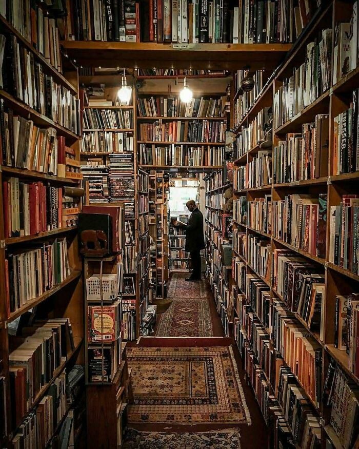 Biblioteca accogliente e grandiosa con alti scaffali in legno pieni di libri e una persona che sfoglia i libri in un'ambientazione magica. Biblioteca accogliente e grandiosa con alti scaffali in legno pieni di libri e una persona che sfoglia i libri in un'ambientazione magica.