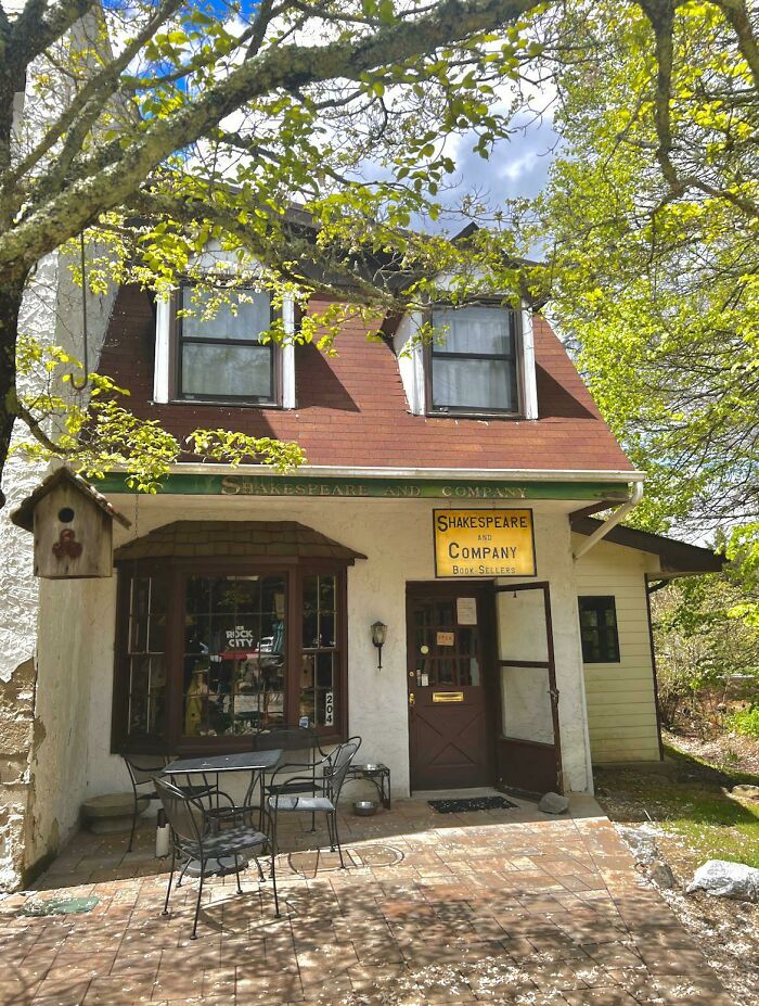 Cozy bookstore with outdoor seating surrounded by trees, showcasing a grandiose and magical library atmosphere. Cozy bookstore with outdoor seating surrounded by trees, showcasing a grandiose and magical library atmosphere.