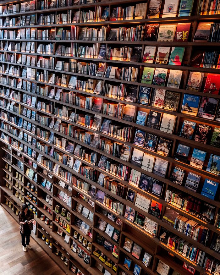 Large grandiose library with extensive bookshelves filled with books and a person reading inside the cosy space. Large grandiose library with extensive bookshelves filled with books and a person reading inside the cosy space.
